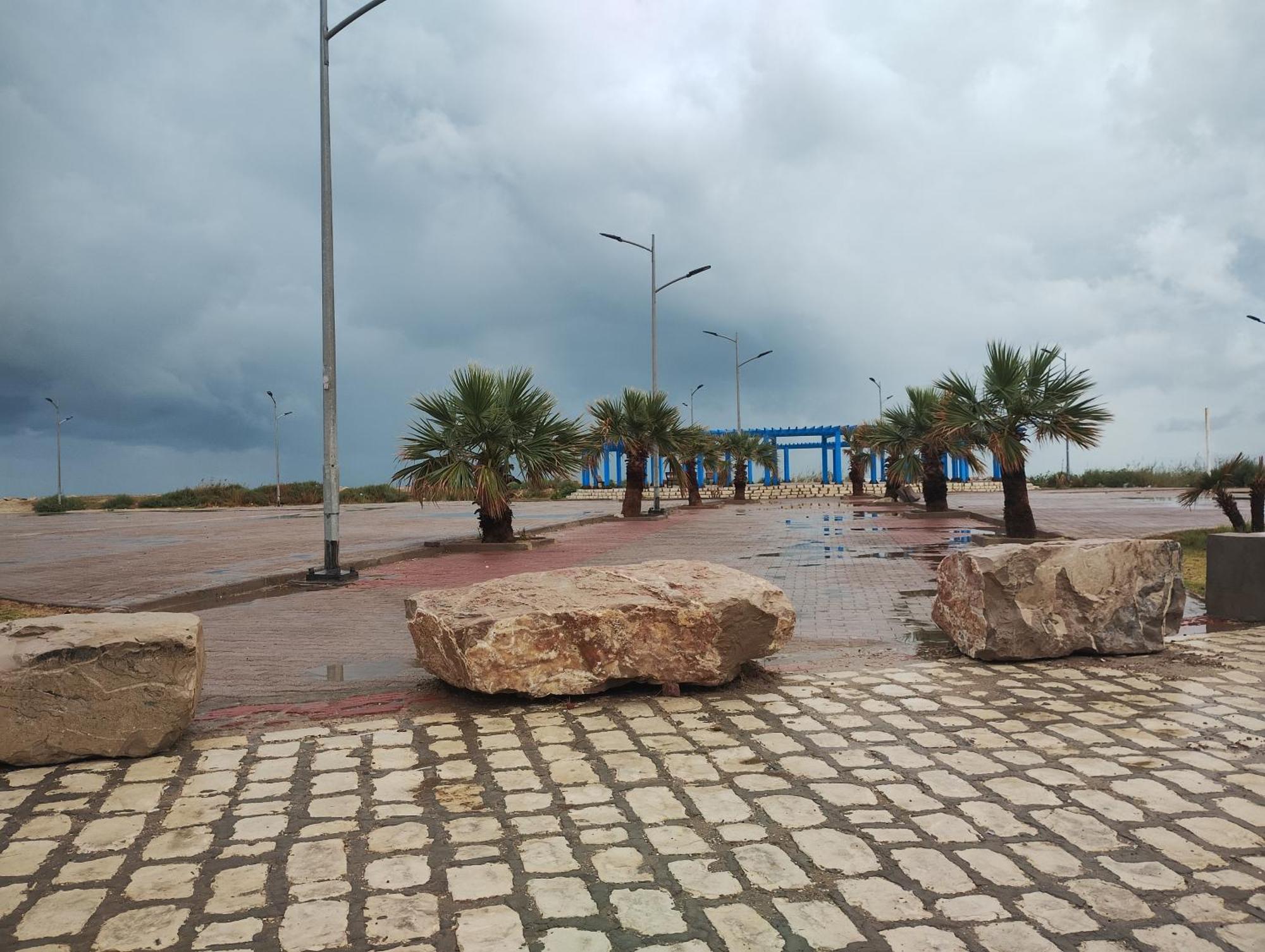 Les Cyclamens Tunisie Afrique * Hammam-Lif